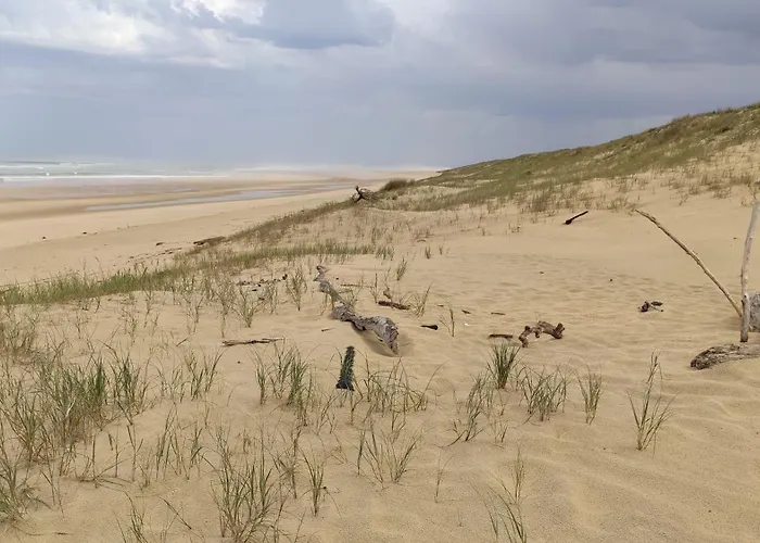 Maison Duplex Bisca Avec Jardin 度假居