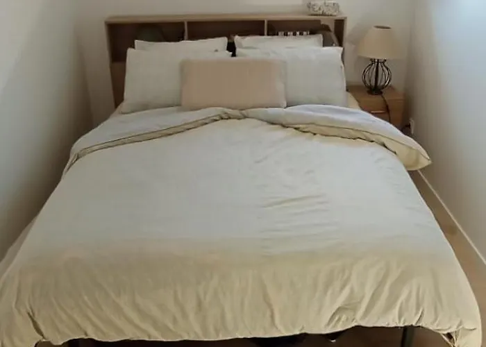 Maison Duplex Bisca Avec Jardin *